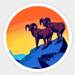 Bighorn Rams Sticker